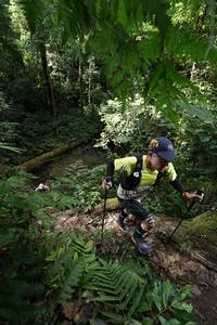 BIB: 
                            <button type="button" onclick="openModal(16033241)" class="btn btn-primary btn-sm float-right btn-popup" data-toggle="modal" data-target=".modal-high-quality">
                        <i class="fas fa-shopping-cart"></i> Add to Cart
                    </button>
                                            <button type="button" onclick="isThisMe(16033241, true)" class="btn btn-success btn-sm float-right btn-popup btn-isme hidden" data-toggle="tooltip" data-placement="bottom" title="นี่คือรูปของคุณใช่ไหม คลิกที่นี่เพื่อเอาเข้าอัลบั้ม">
                        <i class="fas fa-plus"></i> Add to album
                    </button>
                    <button type="button" onclick="isThisMe(16033241, false)" class="btn btn-warning btn-sm float-right btn-popup btn-isnotme hidden">
                        <i class="fas fa-ban"></i> Remove from album
                    </button>